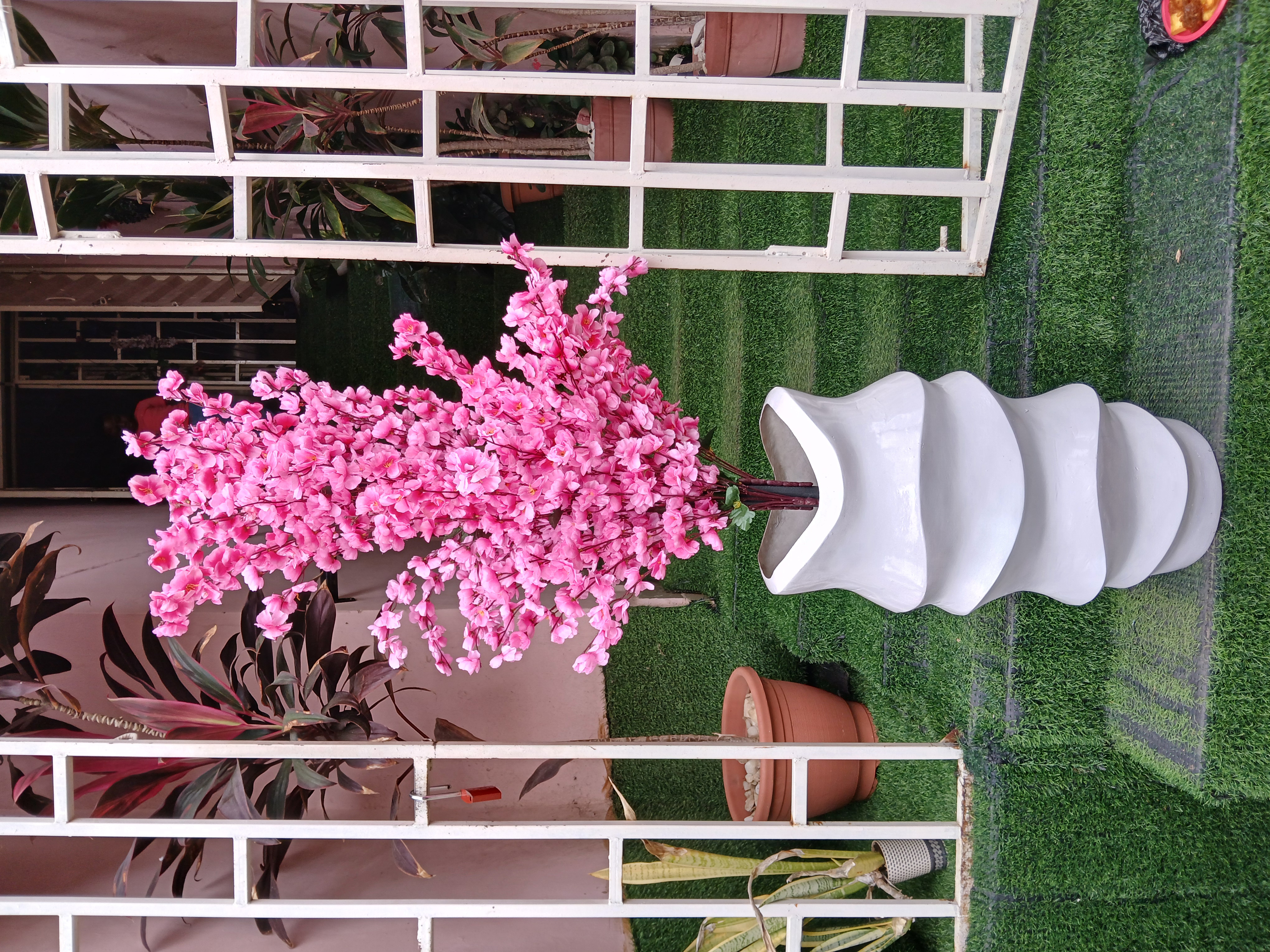 Cherry Blossom Tree in Fibre Planter image