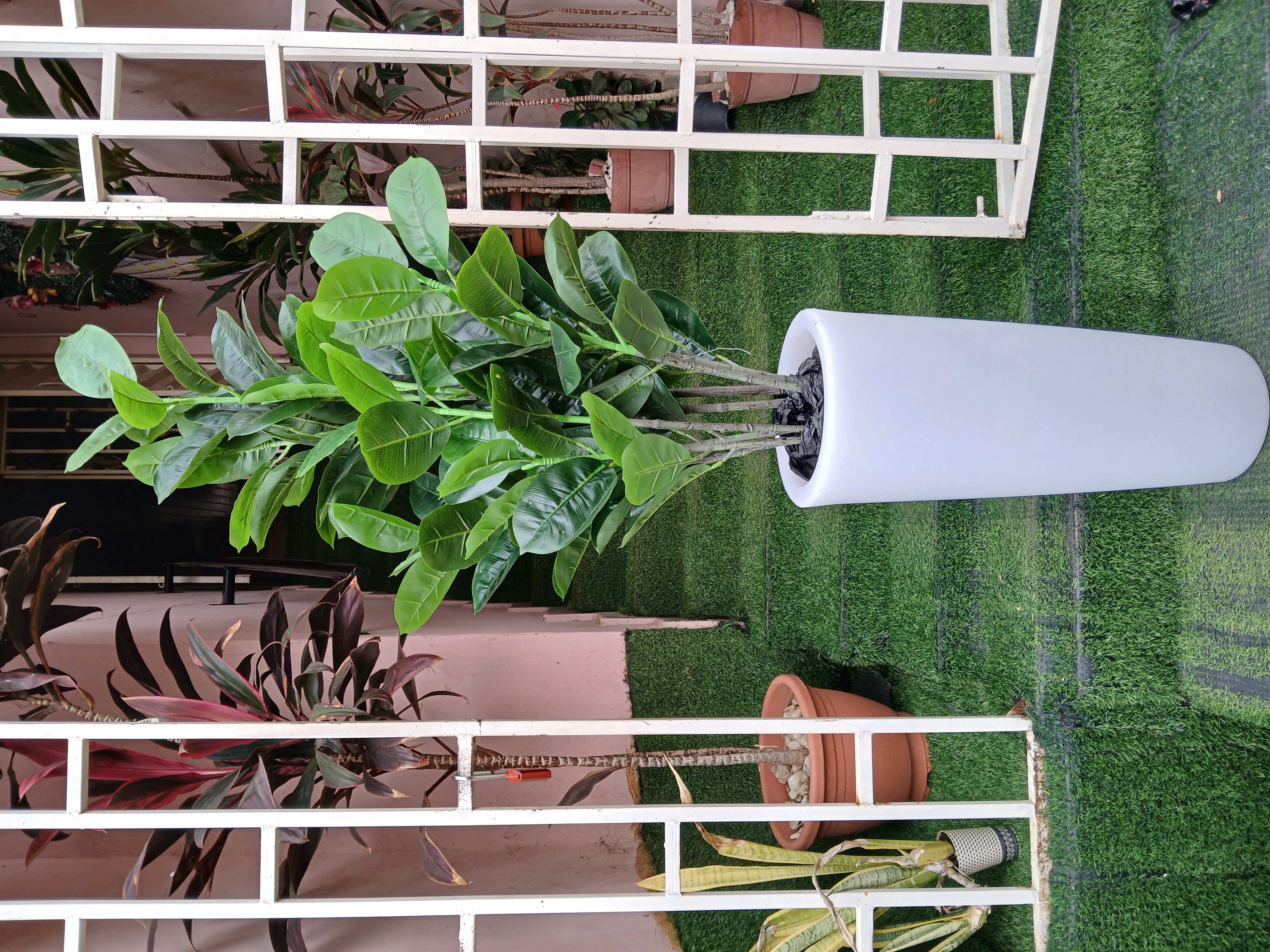 Artificial Fiddle Tree In Plantic Planter image