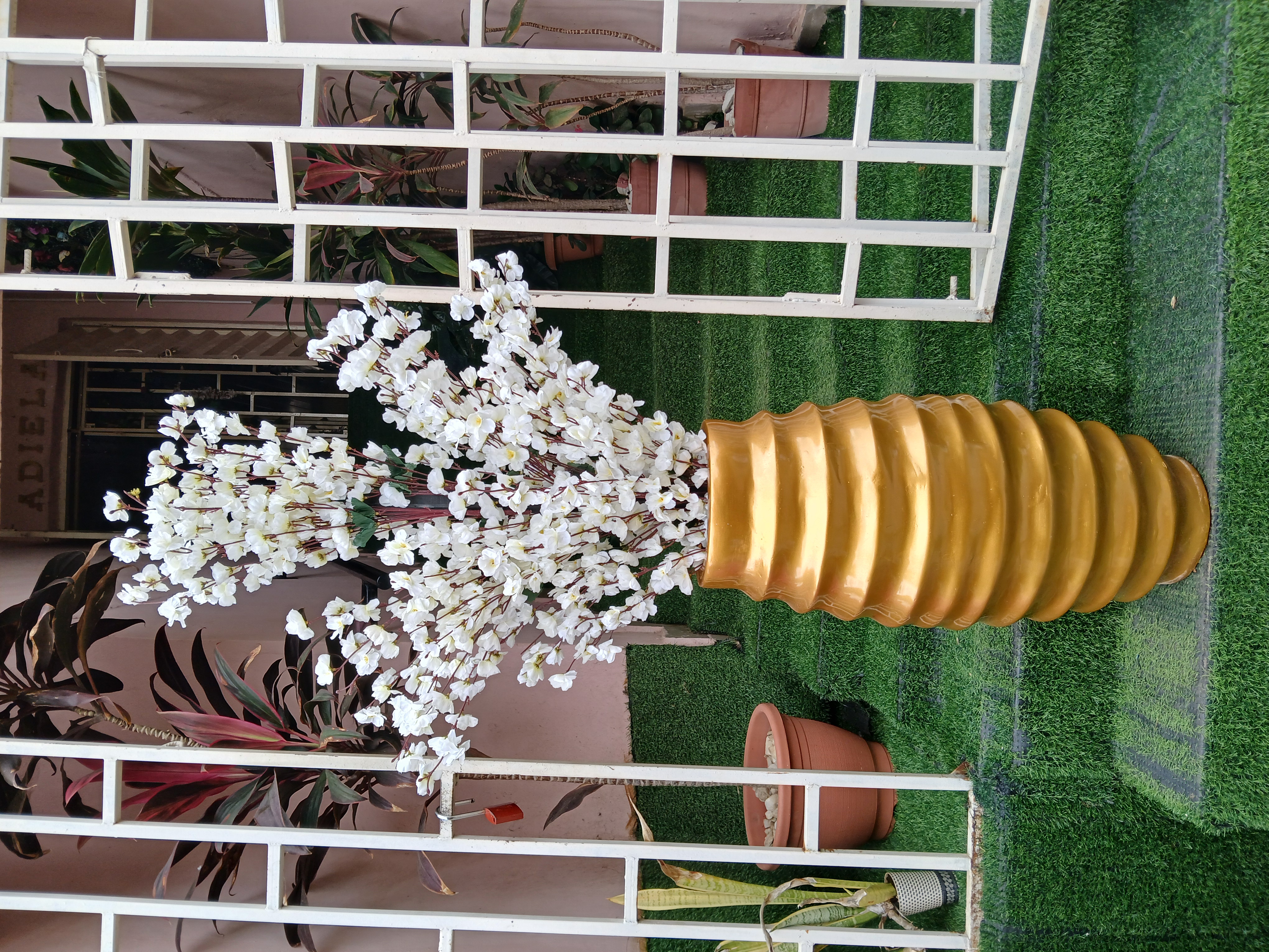 Cherry Blossom Tree in Fibre Planter image