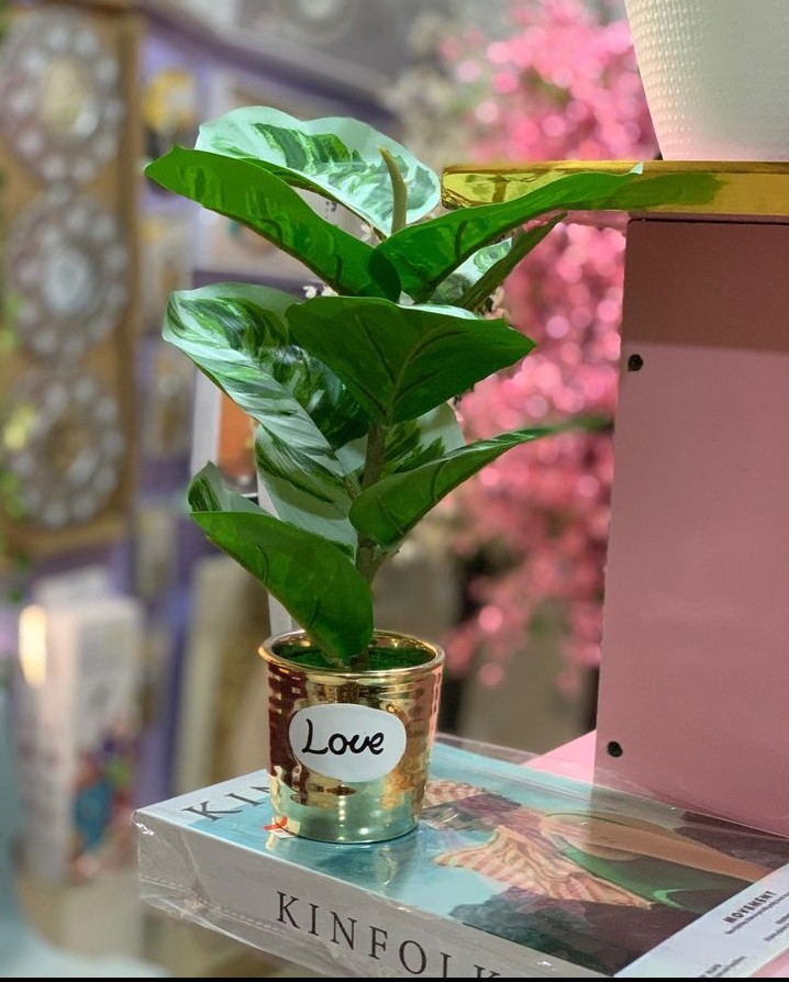 Midi Potted Table Vase With Flower image