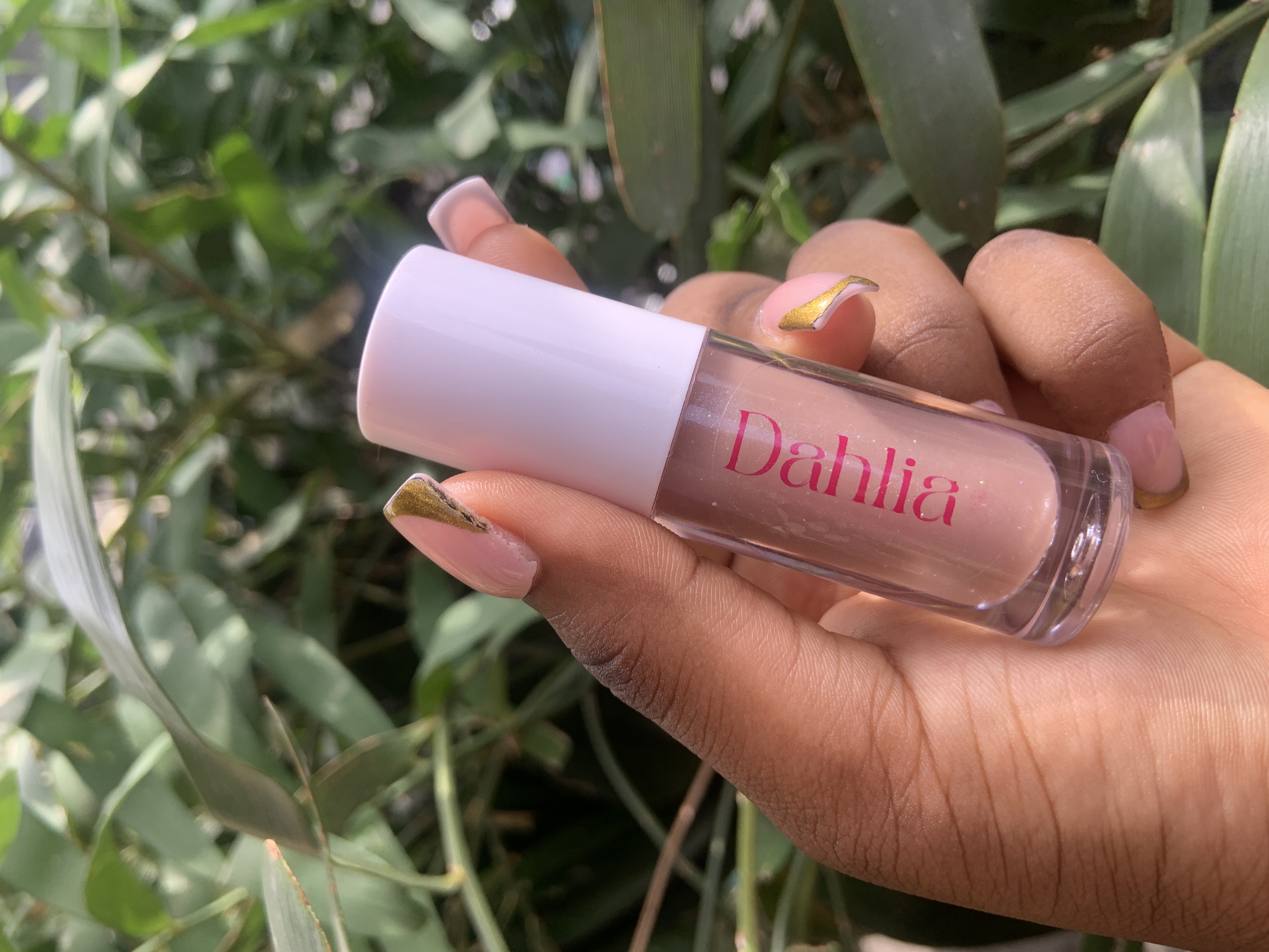 Butterscotch ⋆𐙚₊˚⊹♡ image