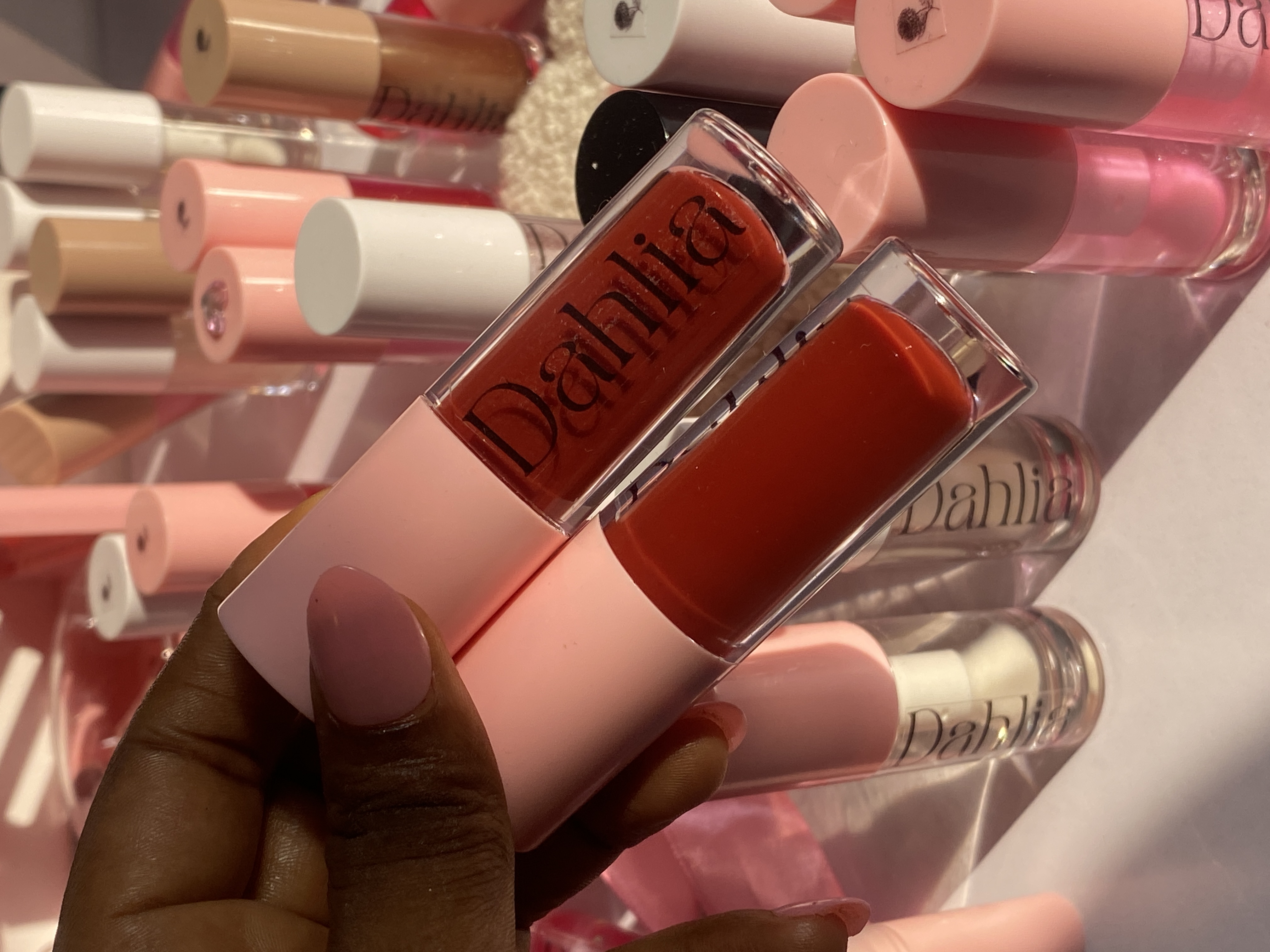 Velvet Dahlia 🤎🌺