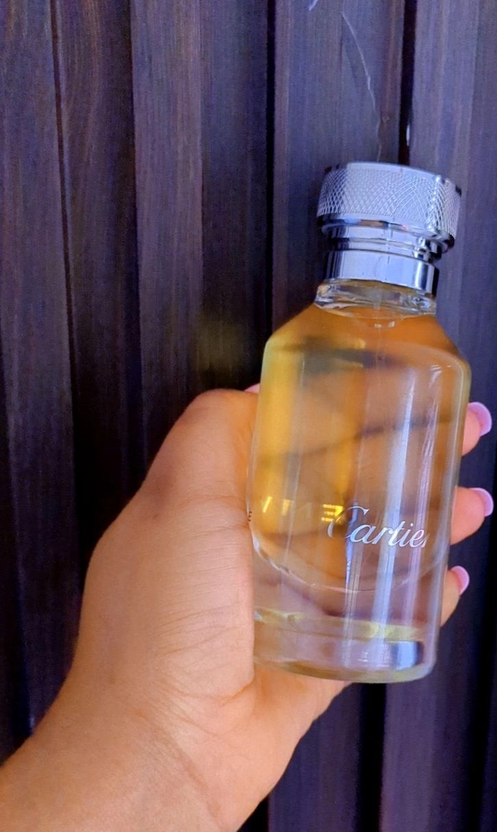 L'ENVOL de Cartier image