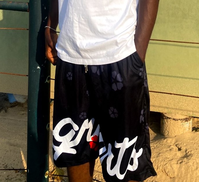 PETAL LOGO SHORTS image