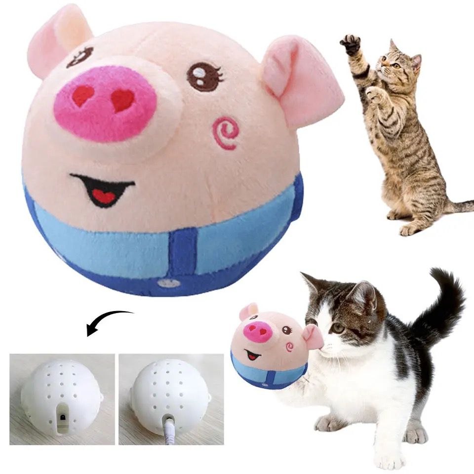 paw bounce piggy toy Image
