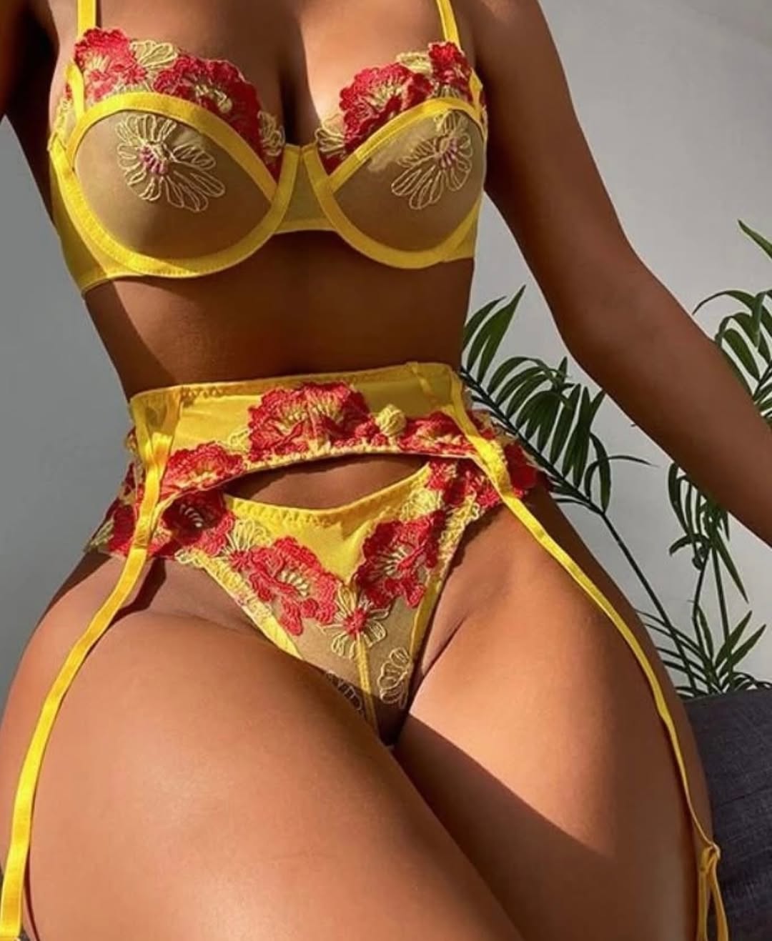 Embroidered Floral Lace Lingerie Set image