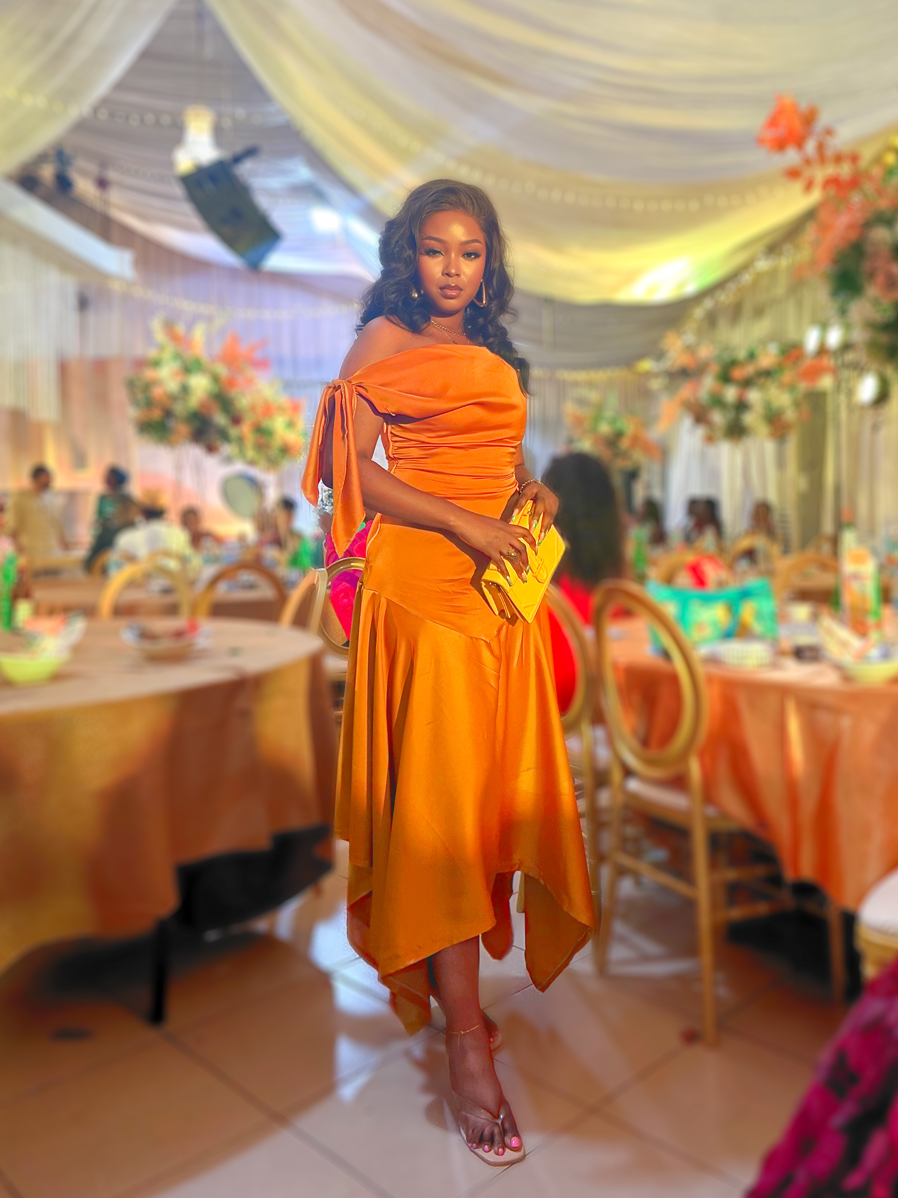 Darby silk dress image