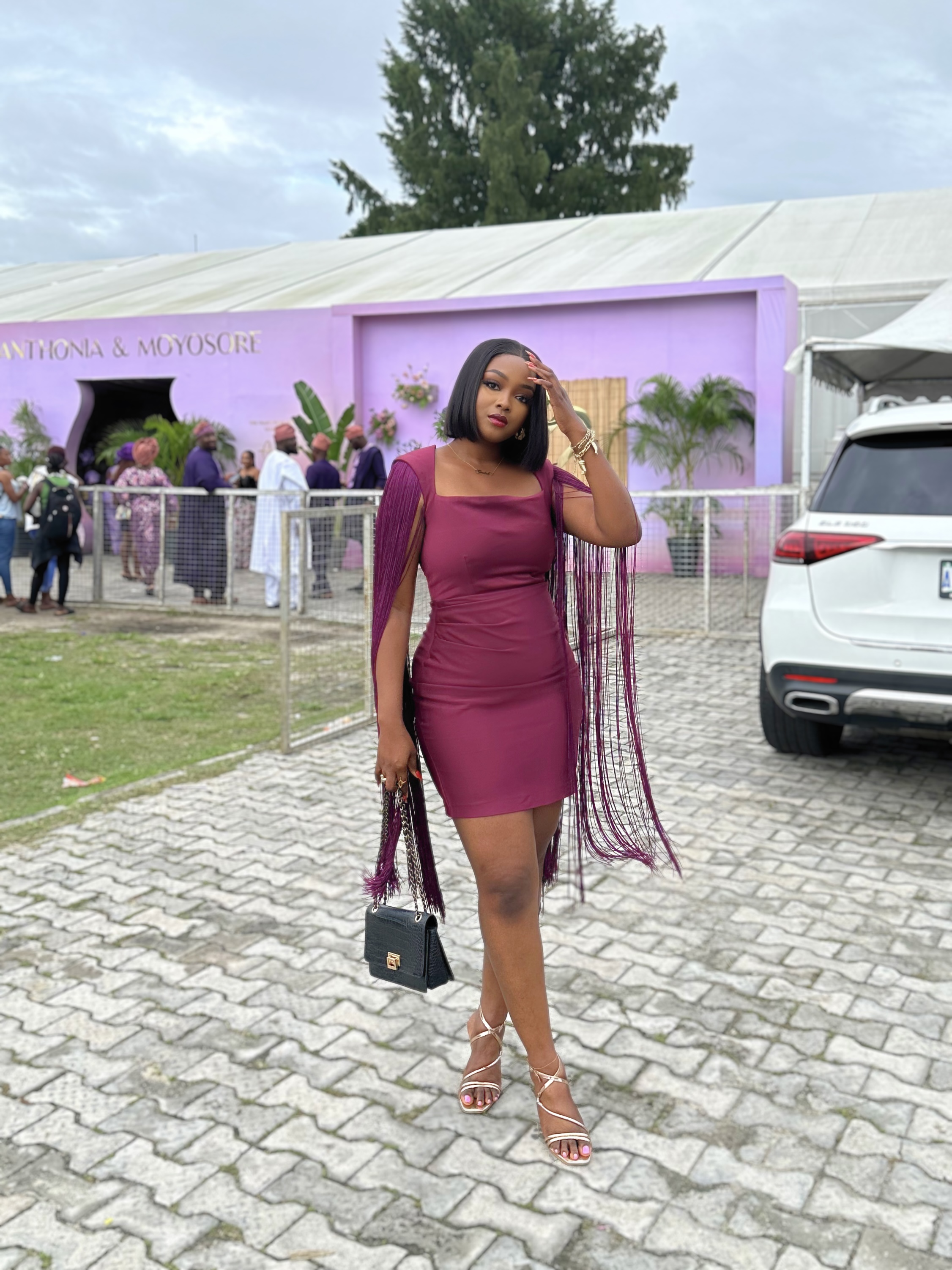 Joyce fringe sleeve dress image