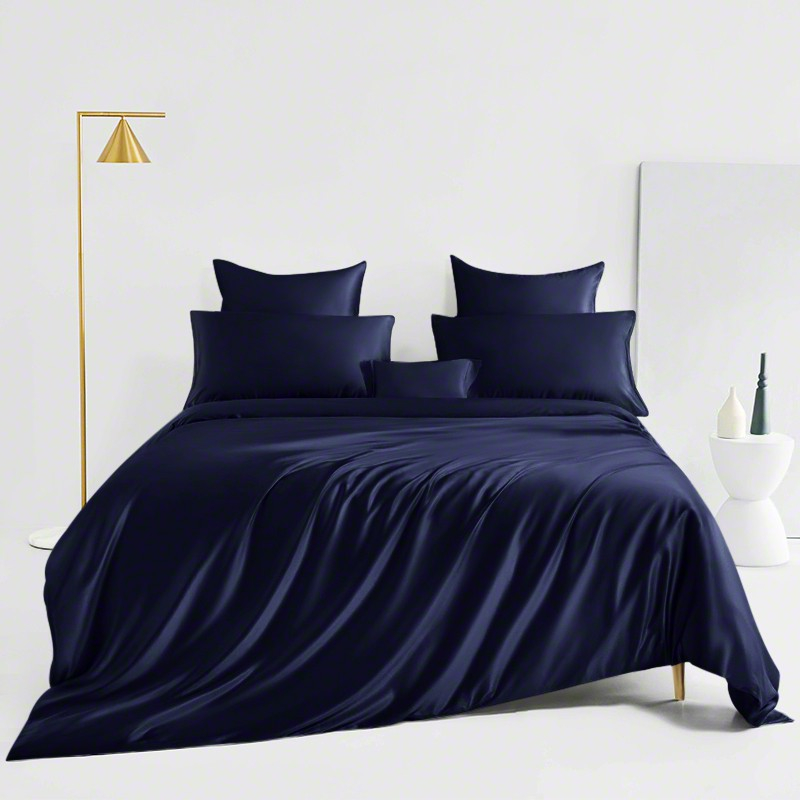 Navy— St Charles 6 Piece Egyptian Silk Bedding Set image