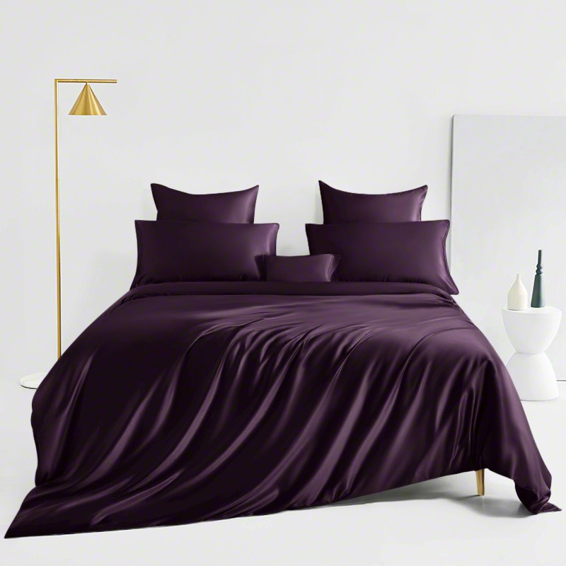 Plum— St. Charles 6 Piece Egyptian Silk Bedding Set image
