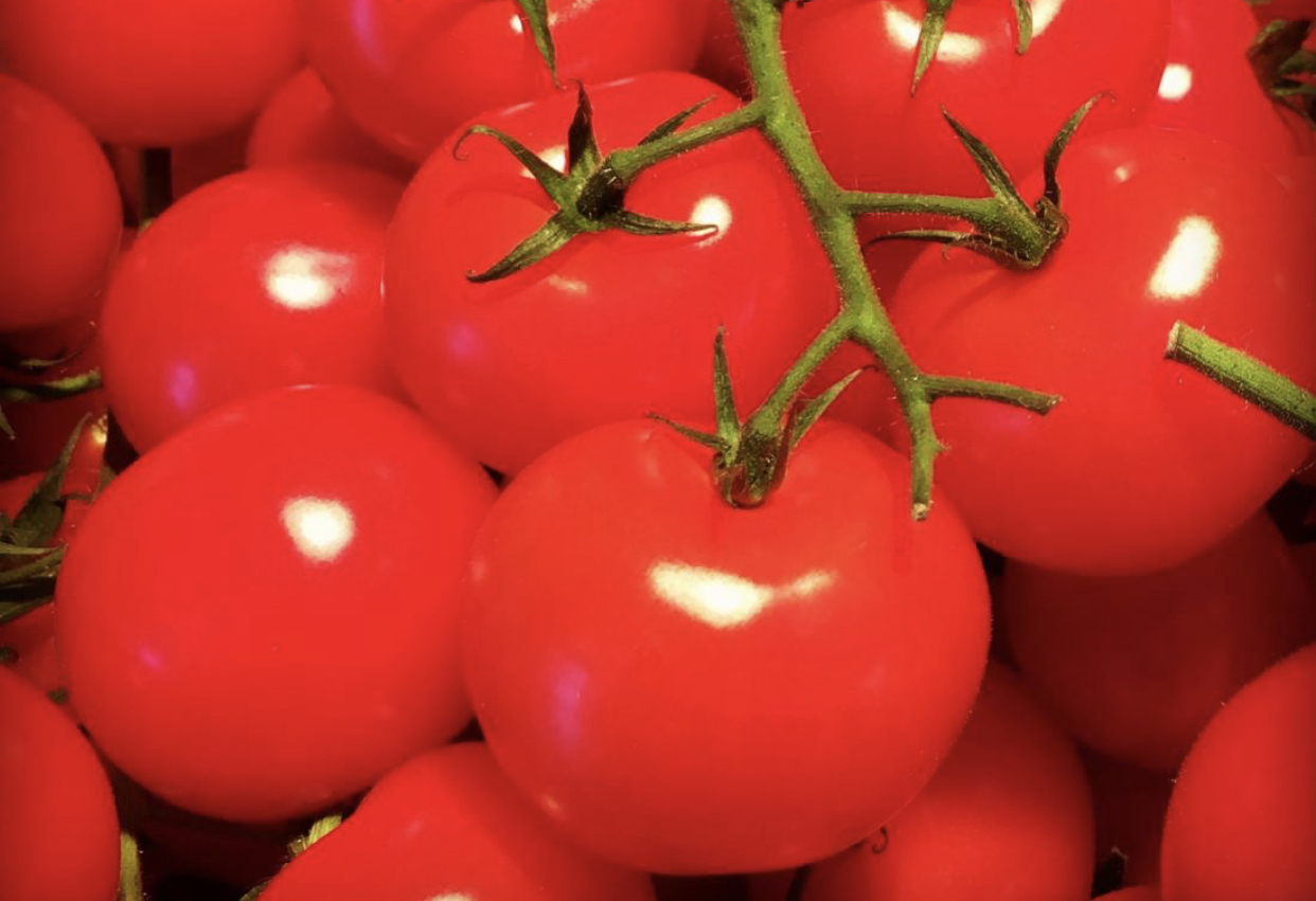 Fresh Organic Tomatoes image