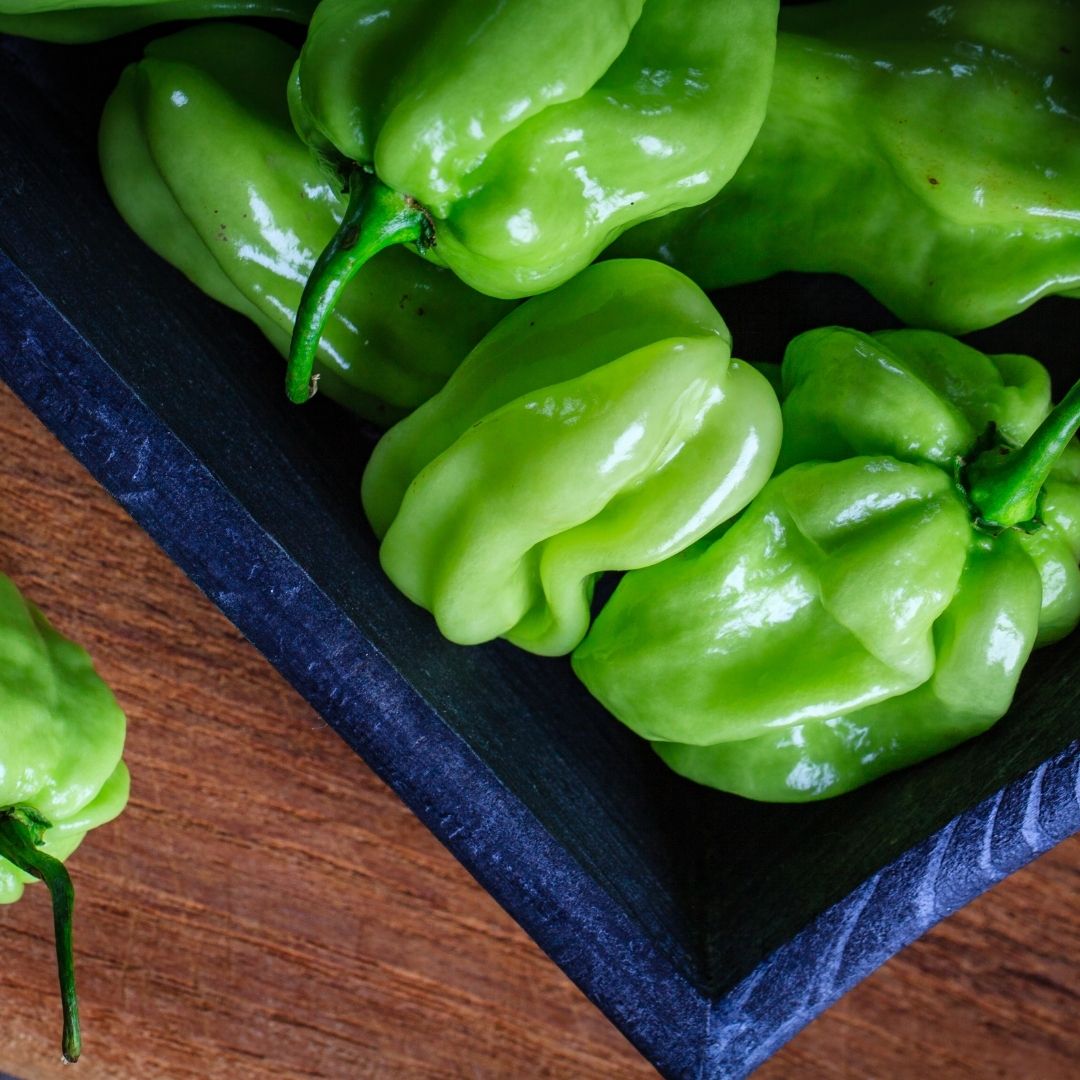 Habanero Green Pepper Image