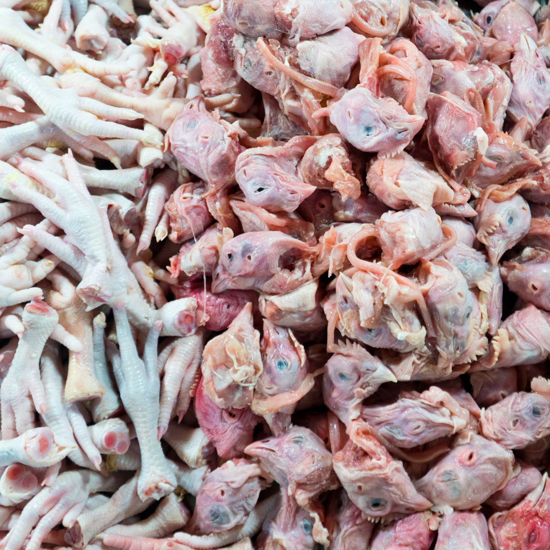 Chicken Leg & Head image