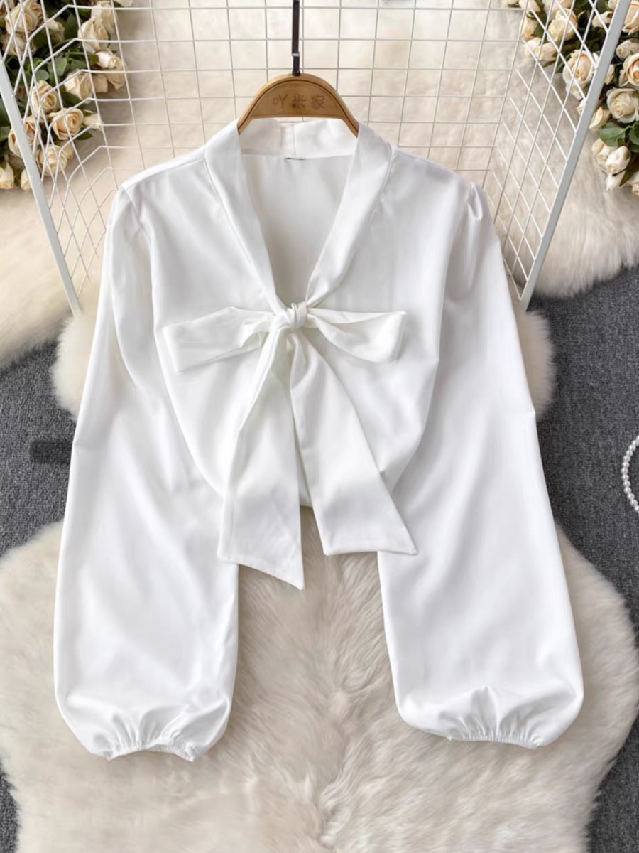 Date with habibi blouse BE254 image