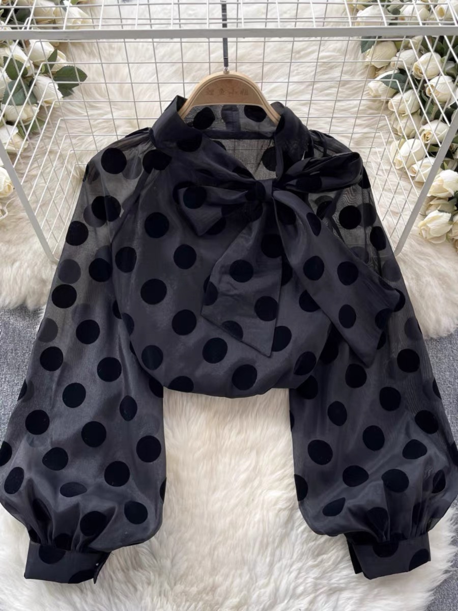 Seffani polka blouse BE157