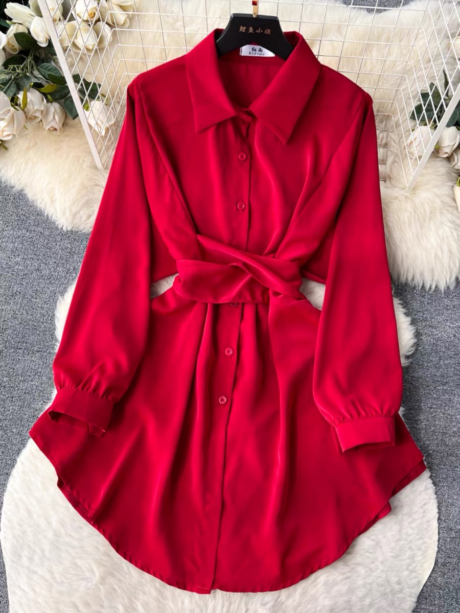 Sent from above shirt dress SDZZ922 image