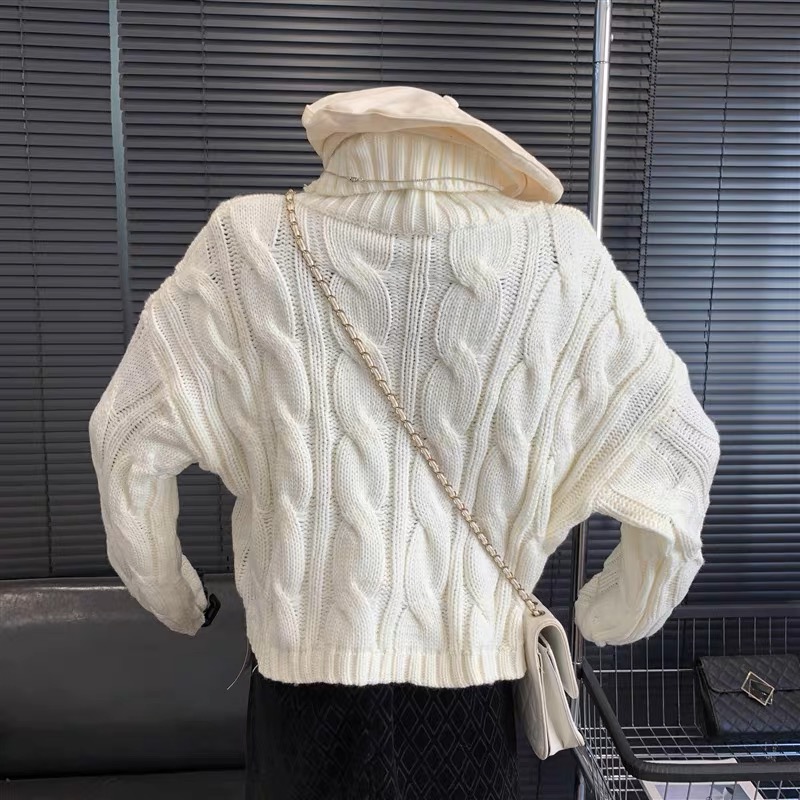 High quality sweater image