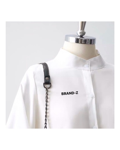 The Exceptional shirt dress SDZZ125 image