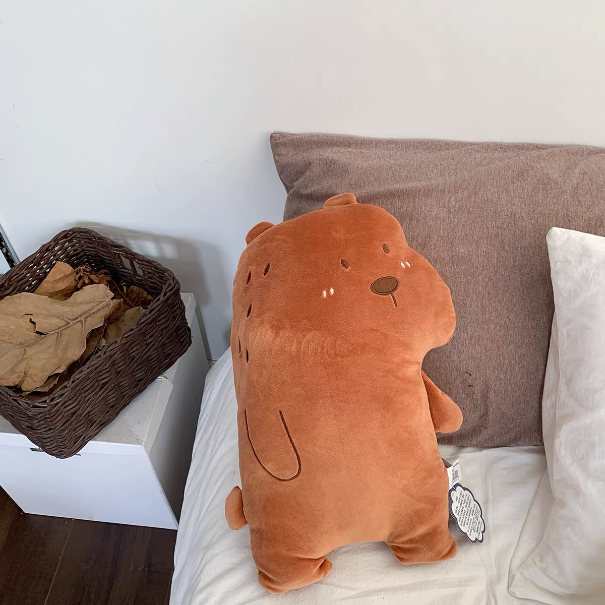 Plush pillows DCZZ106 image