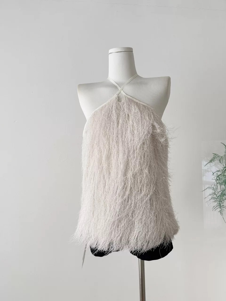 A babe and more top CTO803 image