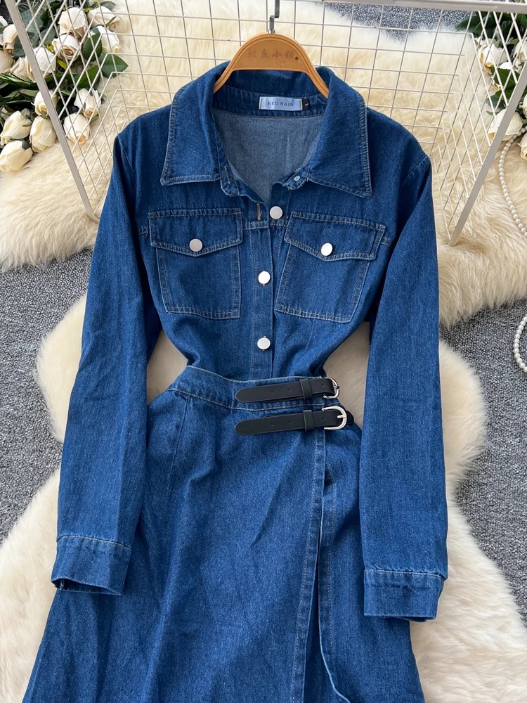 Hear the roar denim dress DD115 image