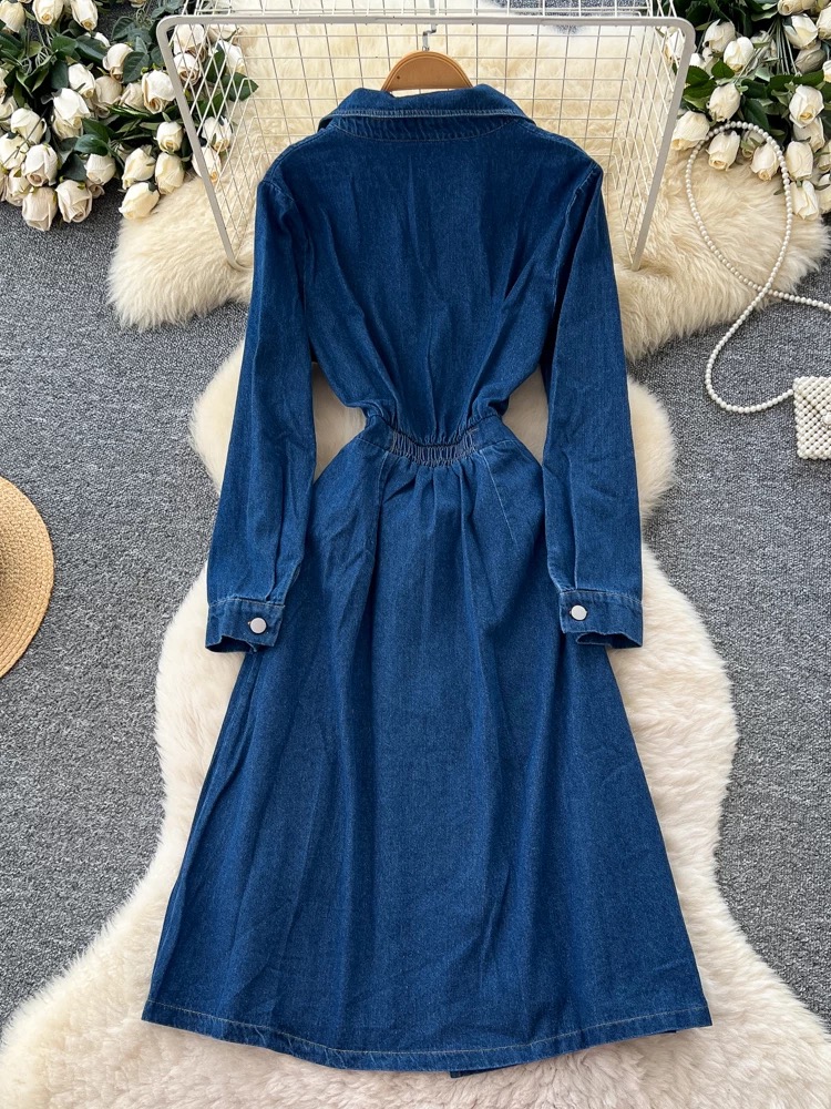 Hear the roar denim dress DD115 image