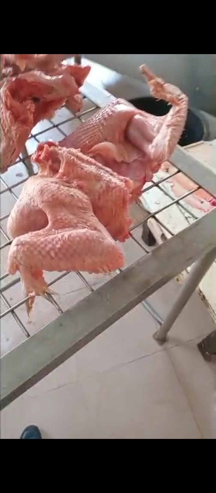 Turkey image